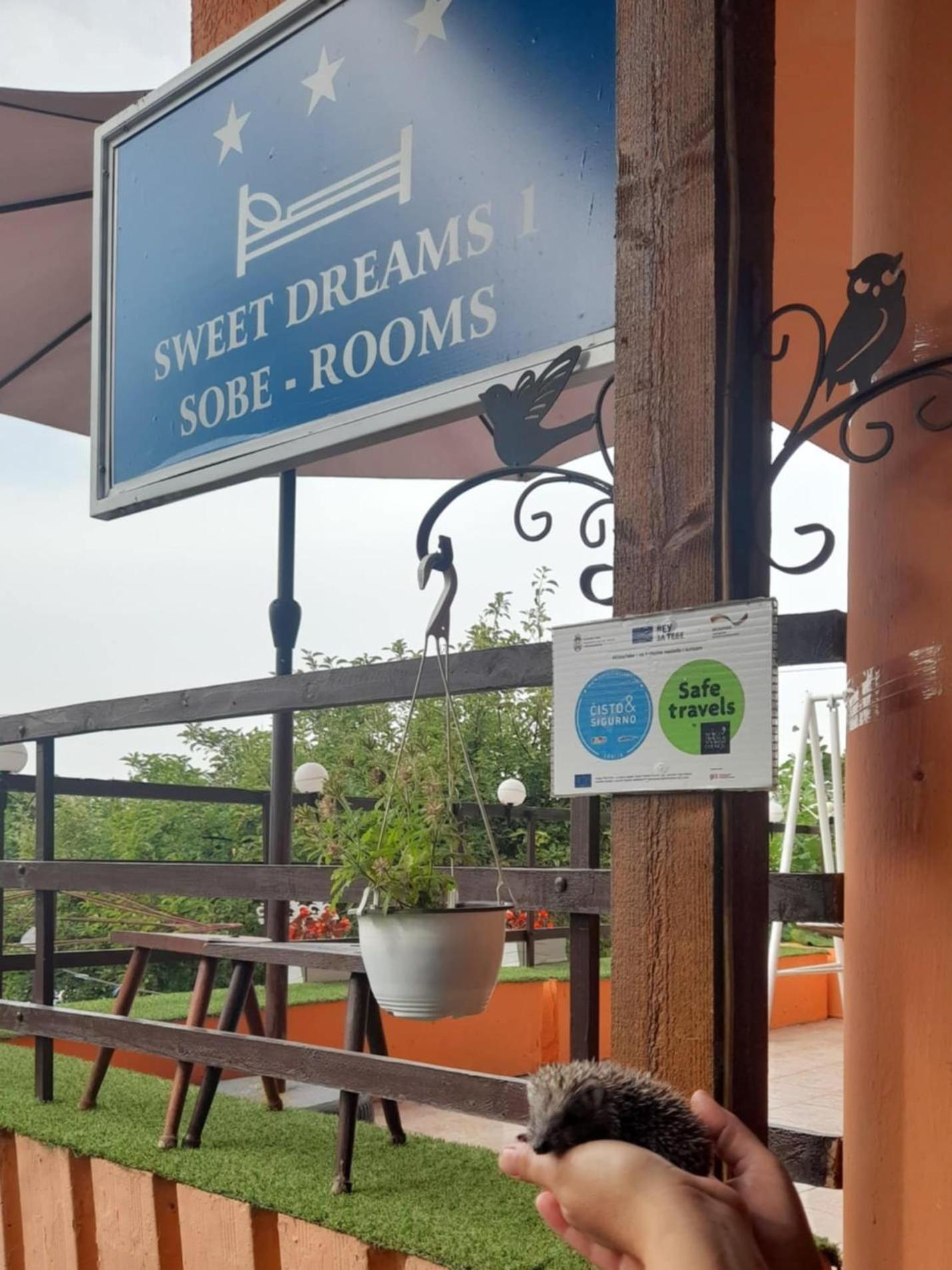 Apartamento Sweet Dreams Zaječar Exterior foto